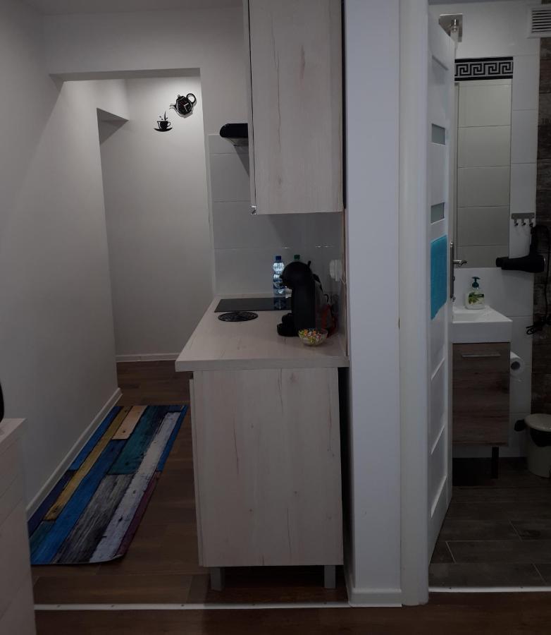 Apartamenty Centrum Mala Dwojeczka Blekitna Panoramiczna Balkonem Promenada キェルツェ エクステリア 写真